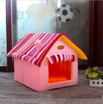 Actual Cat House!