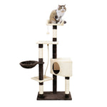 Amazing Kitty Cat Climbing Frame