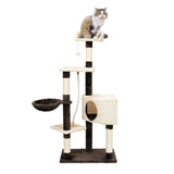 Amazing Kitty Cat Climbing Frame