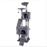 Amazing Kitty Cat Climbing Frame