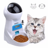 Automatic Pet Feeder!