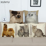 XUNYU Persian Cat Linen Pillow Case