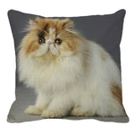 XUNYU Persian Cat Linen Pillow Case