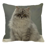 XUNYU Persian Cat Linen Pillow Case