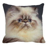 XUNYU Persian Cat Linen Pillow Case