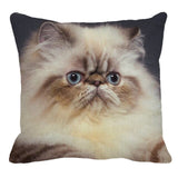 XUNYU Persian Cat Linen Pillow Case