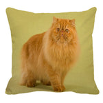 XUNYU Persian Cat Linen Pillow Case