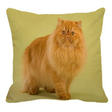 XUNYU Persian Cat Linen Pillow Case