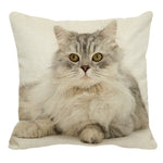 XUNYU Persian Cat Linen Pillow Case