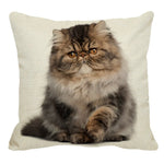 XUNYU Persian Cat Linen Pillow Case