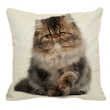 XUNYU Persian Cat Linen Pillow Case