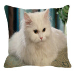 XUNYU Persian Cat Linen Pillow Case