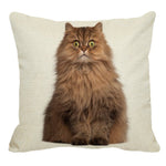 XUNYU Persian Cat Linen Pillow Case