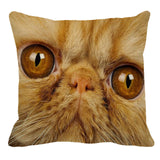 XUNYU Persian Cat Linen Pillow Case