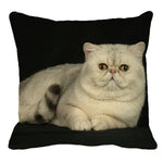 XUNYU Persian Cat Linen Pillow Case