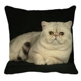 XUNYU Persian Cat Linen Pillow Case