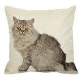 XUNYU Persian Cat Linen Pillow Case