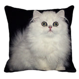 XUNYU Persian Cat Linen Pillow Case