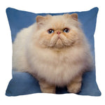 XUNYU Persian Cat Linen Pillow Case