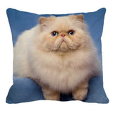 XUNYU Persian Cat Linen Pillow Case