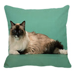 XUNYU Persian Cat Linen Pillow Case