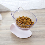 Double Cat Bowl