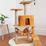 Orange cat jungle gym