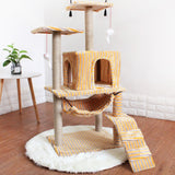 Orange cat jungle gym