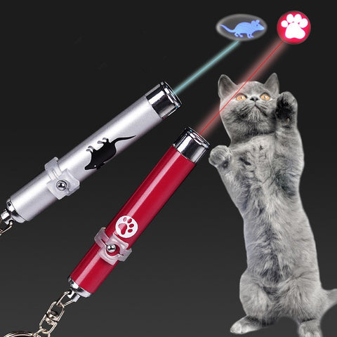 Cat Paw And Rat Lasers